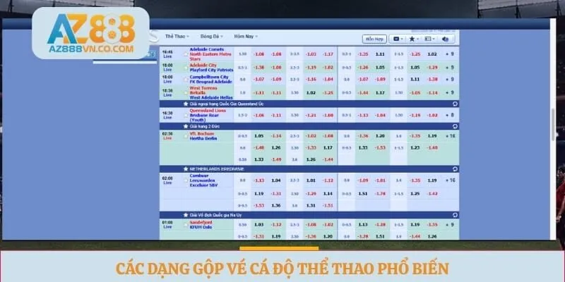 Các dạng gộp vé cá độ thể thao phổ biến
