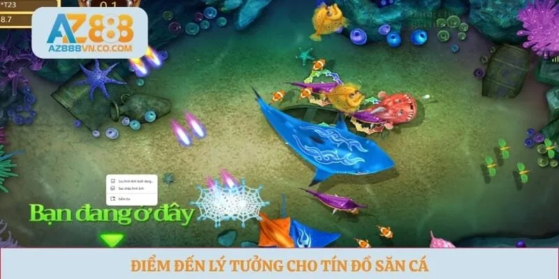 Điểm đến lý tưởng cho tín đồ săn cá